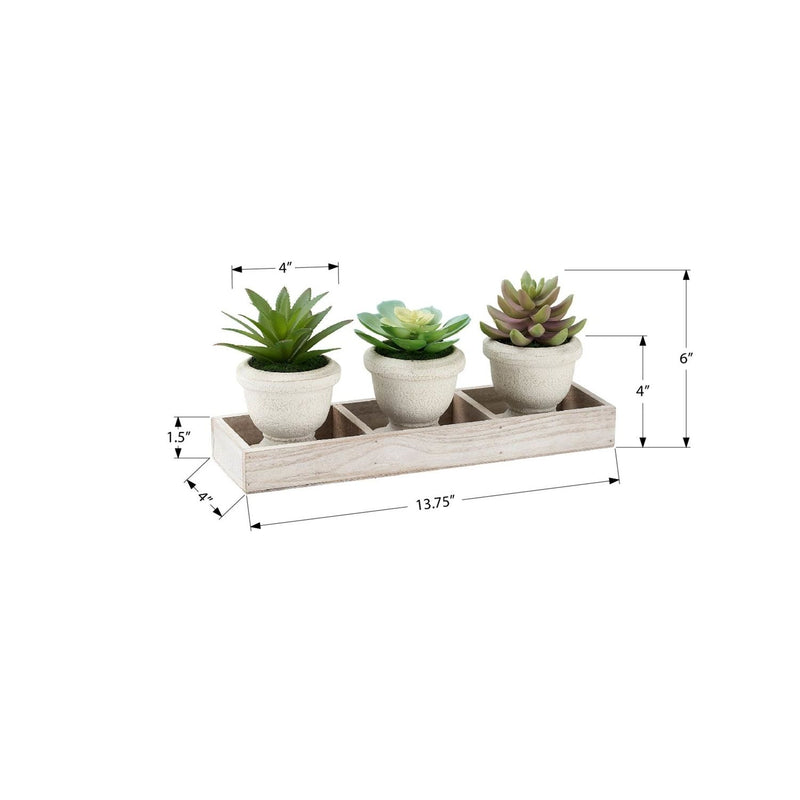 Artificial Succulent, Table Decor (Set of 3) - Green / Beige