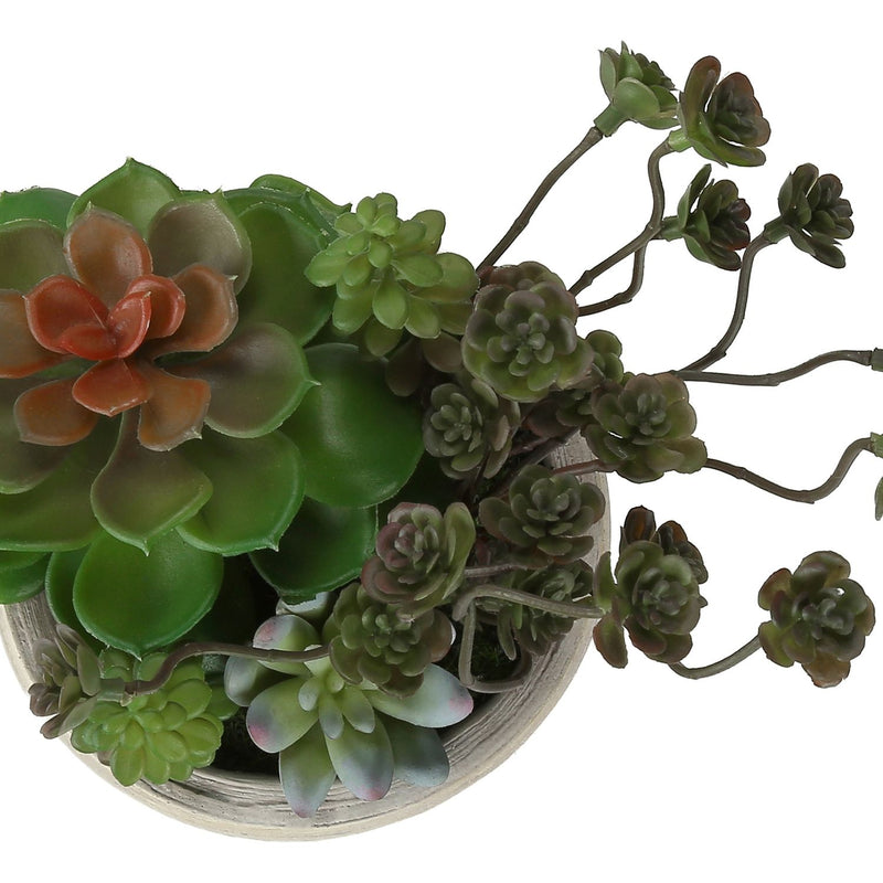 Artificial Succulent, Table Decor (Set of 2) - Green / Beige