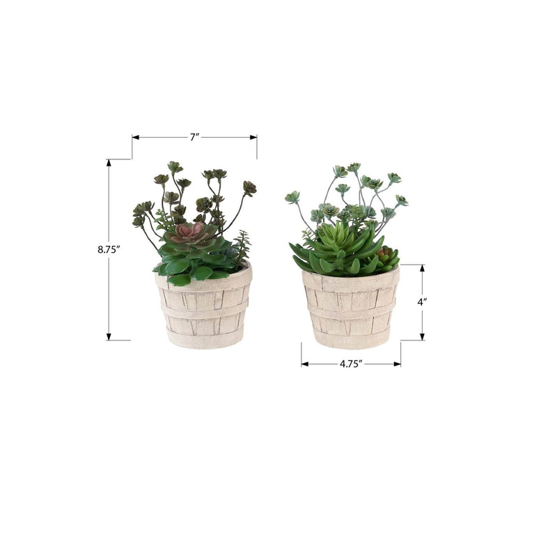 Artificial Succulent, Table Decor (Set of 2) - Green / Beige