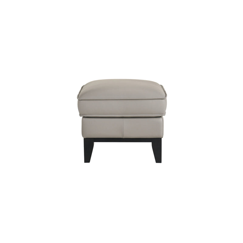 Aaron - Leather Ottoman - Mist Gray
